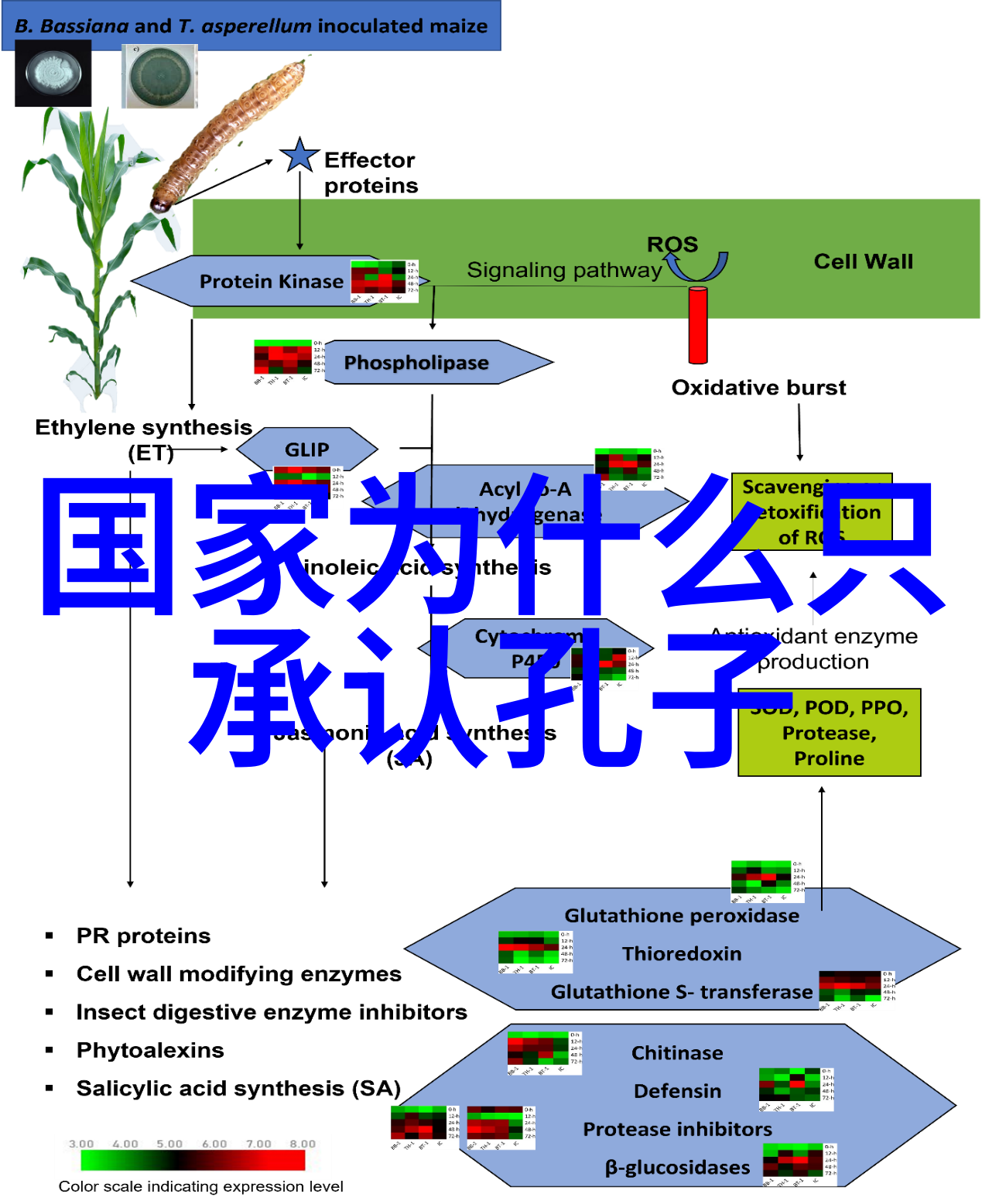 红尘一沙雕我在这红尘中慢慢变成了你眼中的沙雕