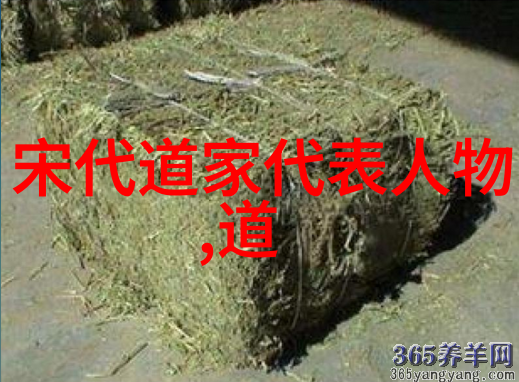 道教名人大全我来给你介绍一部神奇的书