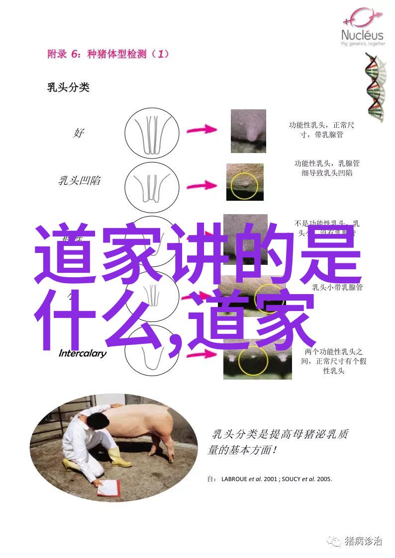 六种人不宜去道观我是说那些心急火燎只想一夜之间修炼成仙的人