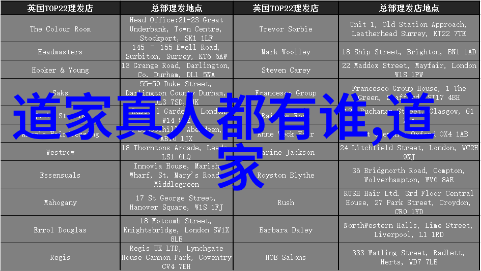 国家养的道家高人 - 守护天命国家养成的隐世修士与其在山林中的踪迹