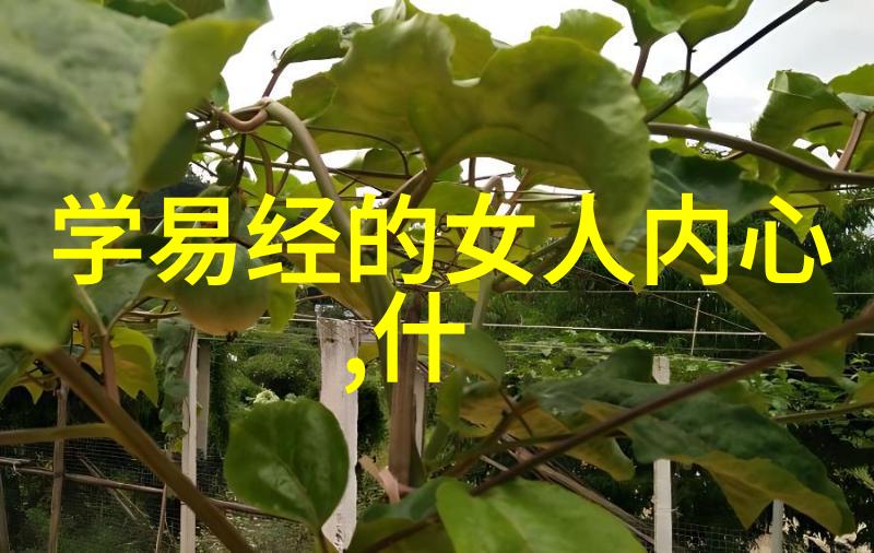 铁心铸就她的人生不受情感牵绊