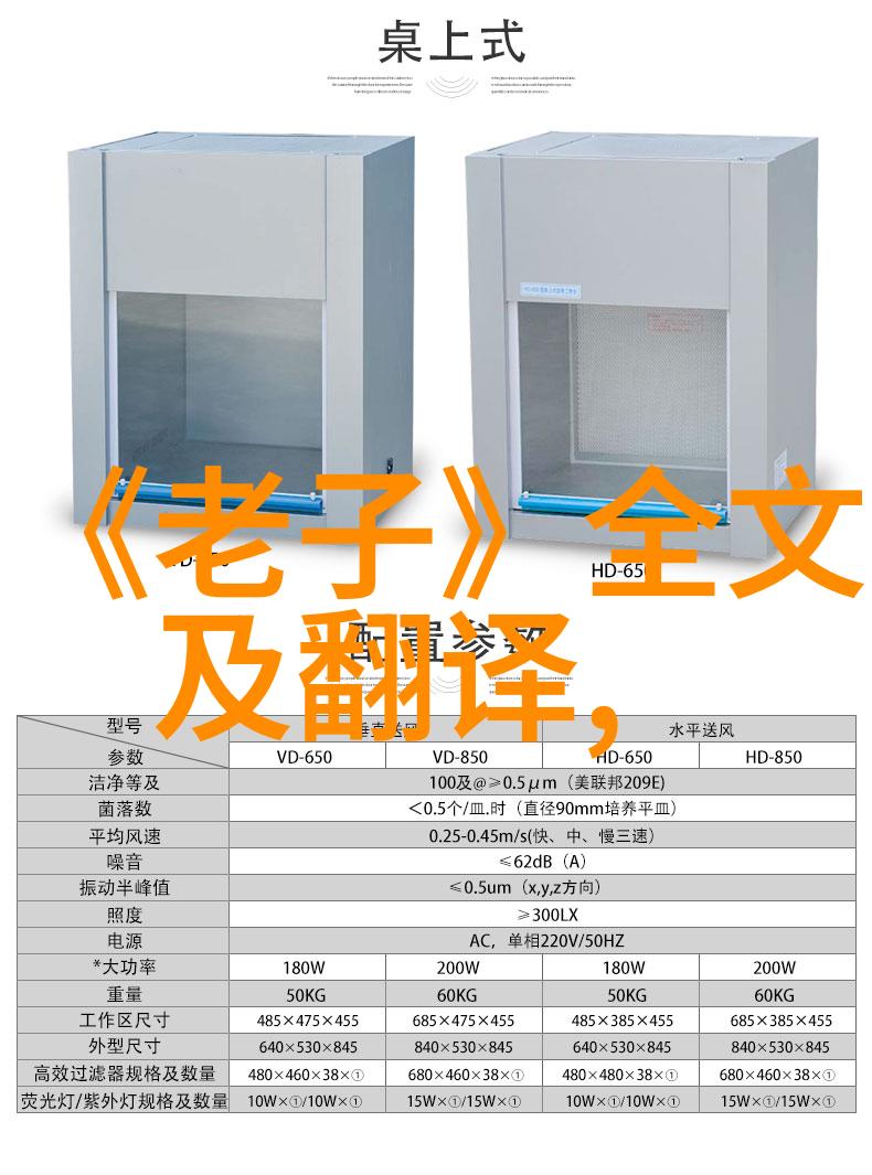 老子道德经的哲学启示与现代生活的融合