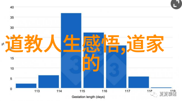 小山村的美好时光-溪流边的夏日欢笑