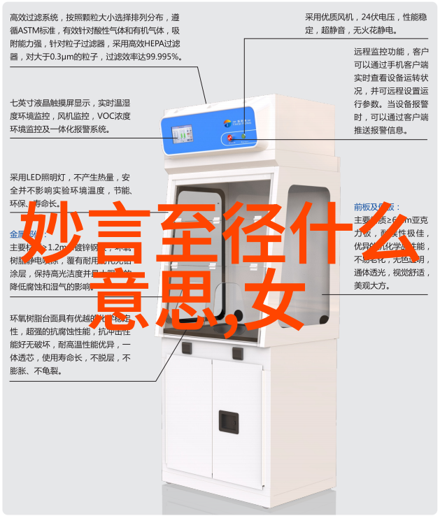 静夜思绘李清照诗选中的韵味与情愫