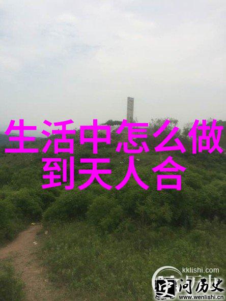 无为之治的深邃智慧道元卷中的启示