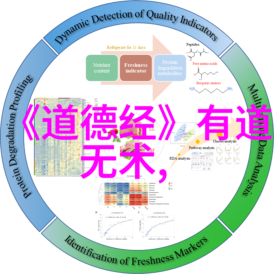 无欲则刚探索内心力量的哲学与心理学范畴