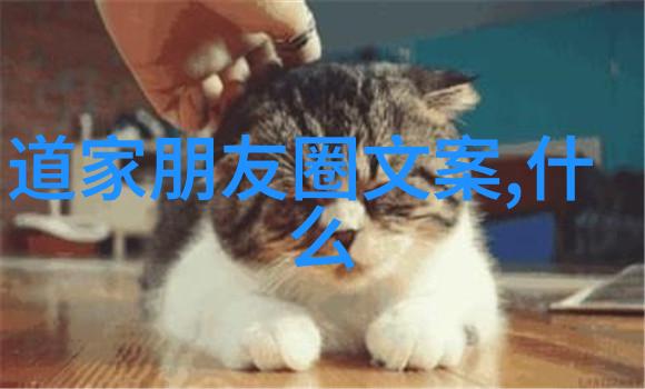 弘一法师悟道之谜悬念重重