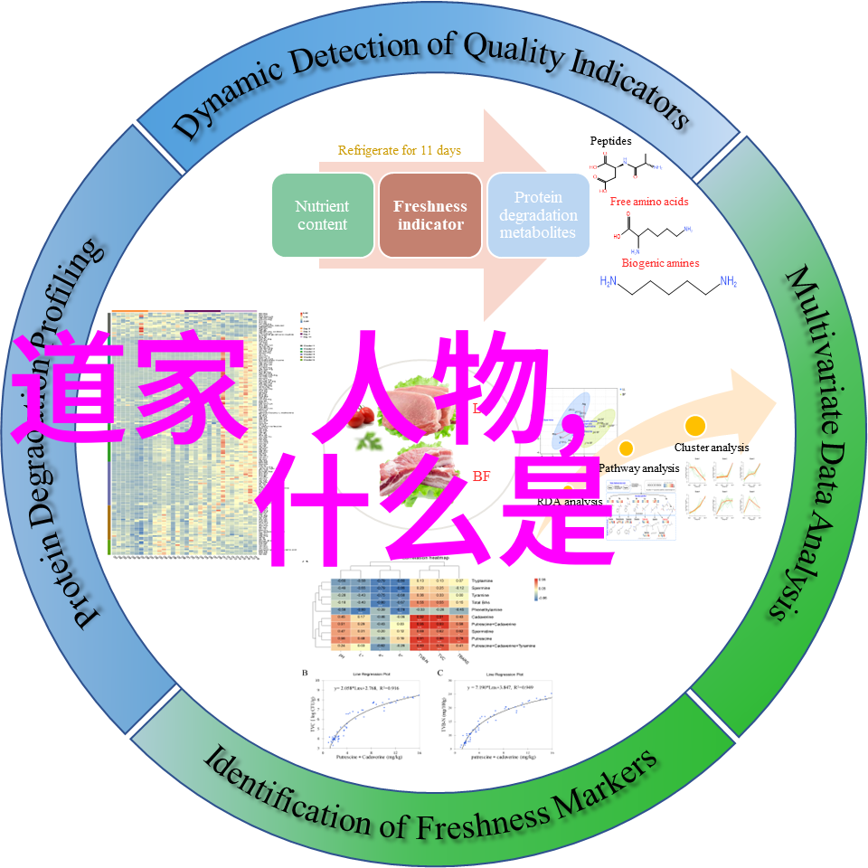 道教智慧的代言人探索古代道教大师的生活与思想