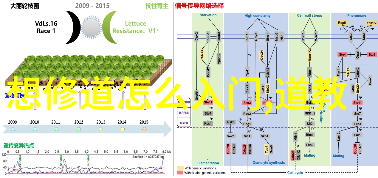 无欲则刚的人如何应对复杂社会关系一种心理学探究