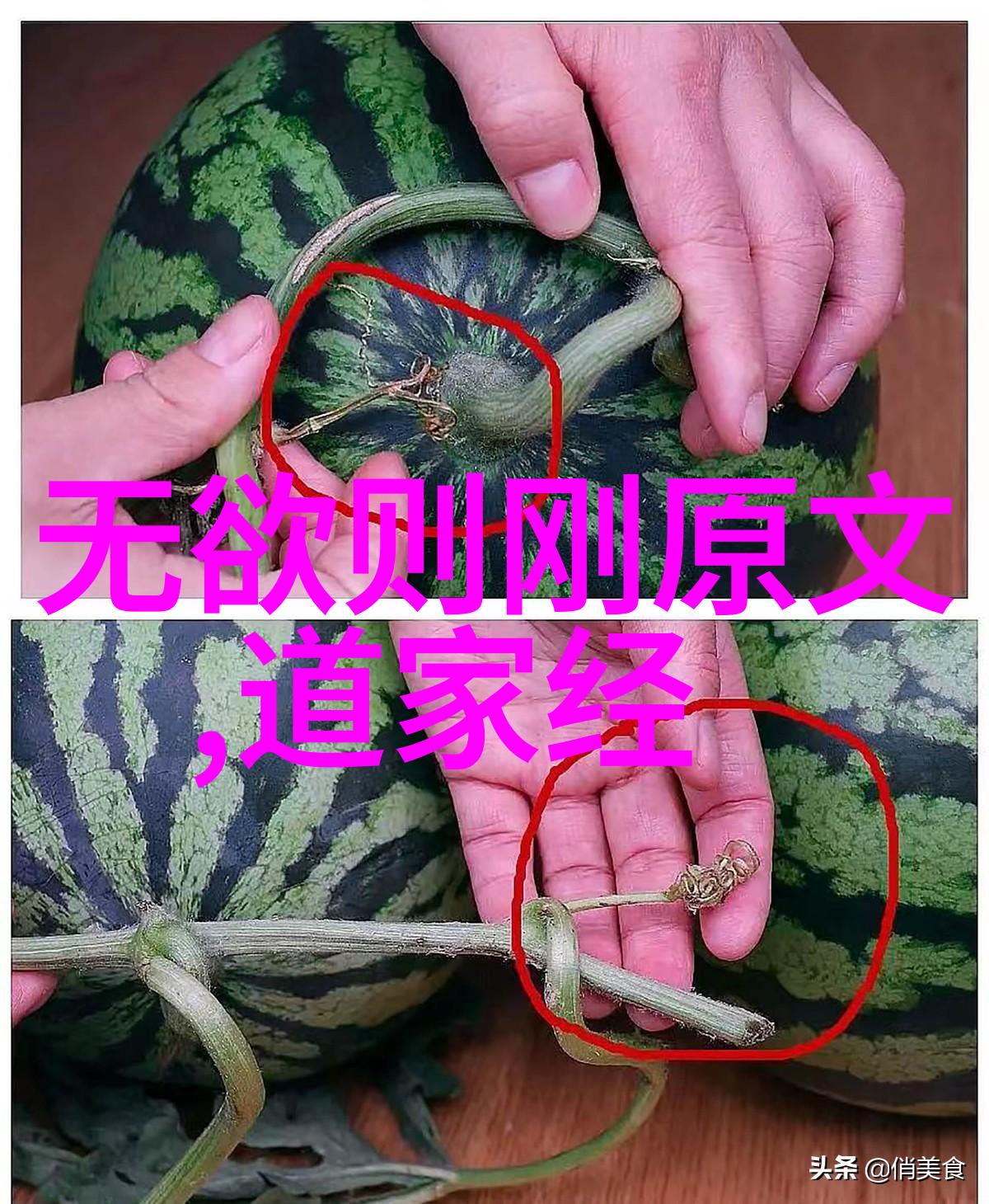 道家学说让你在生活中也能成为一尊山或者至少不会被人踩成平地