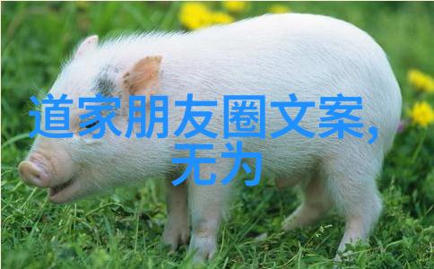 客家话中的搭脚头揭秘衣食住行习俗背后的数字故事