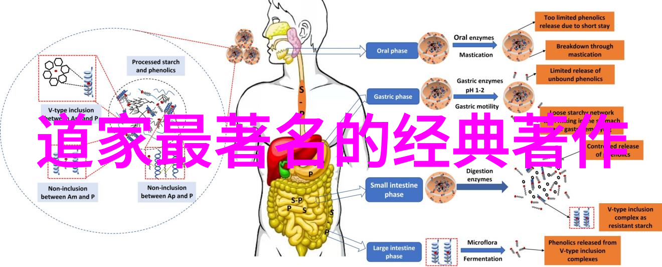 道家学者-探索天地之道道家学者的哲学探究