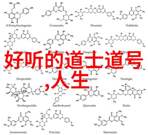 道士的终身之旅探索道教修行的深度