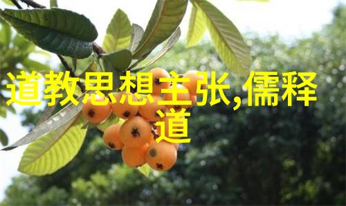 小学生道德经全文-品德修养与行为规范