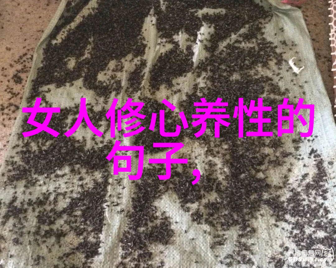 温柔的交换心灵之间的和谐旋律