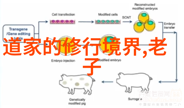 探索国画世界历史风格与技法