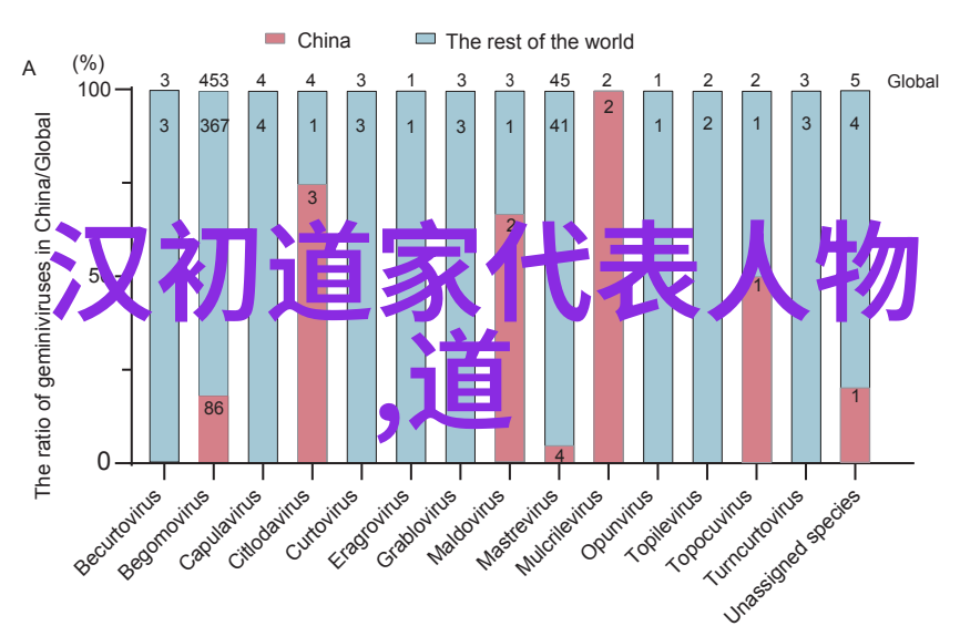 镜头前的小演员自己在摄像头前玩给我们看