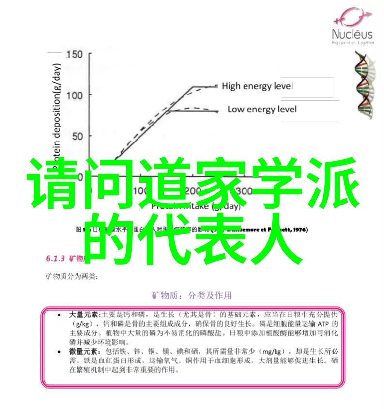 道士修行的终极之谜道家文化中的道士职业生涯