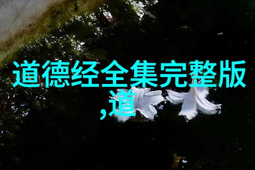 道德经执一-顺应天道探索老子道德经中的单纯与至高