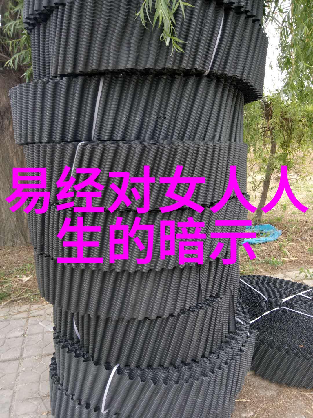 霸气咏仙修仙十大霸气语录汇编