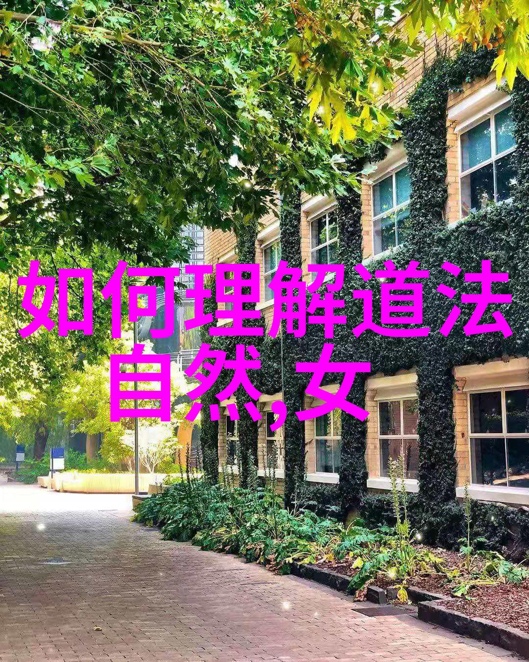 仙鹤神针小说-翠云间的隐世医仙