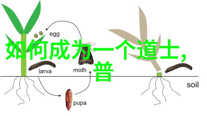 道家传承人物我亲历的古法炼丹秘术