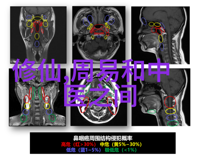 道教神仙体系探究从黄帝至老子传承与演变