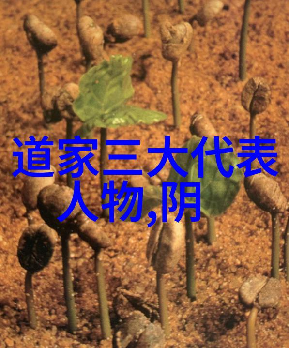 柠檬茶入戏扶他提升生活品质的健康饮品