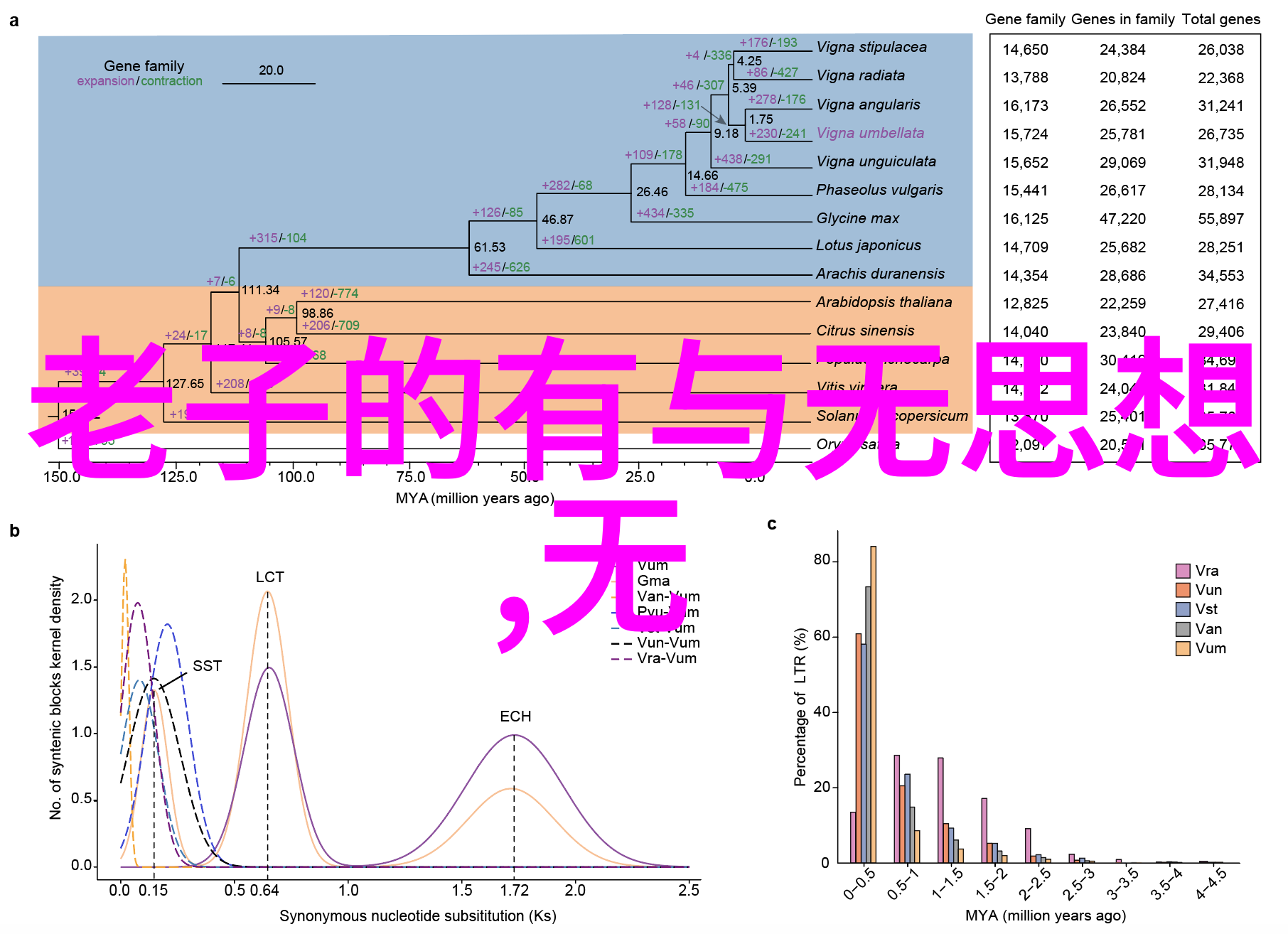 道家修炼方法有哪些它们背后的理论是什么