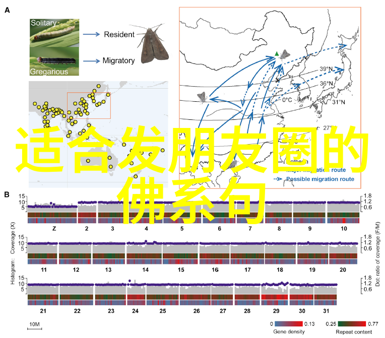 道教四大真人指的是隐世高手与世俗目光的反差