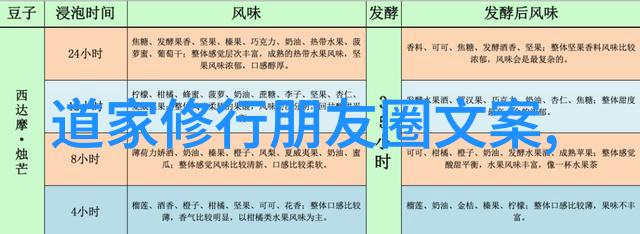 道家思想的核心代表人物及其哲学体系构建