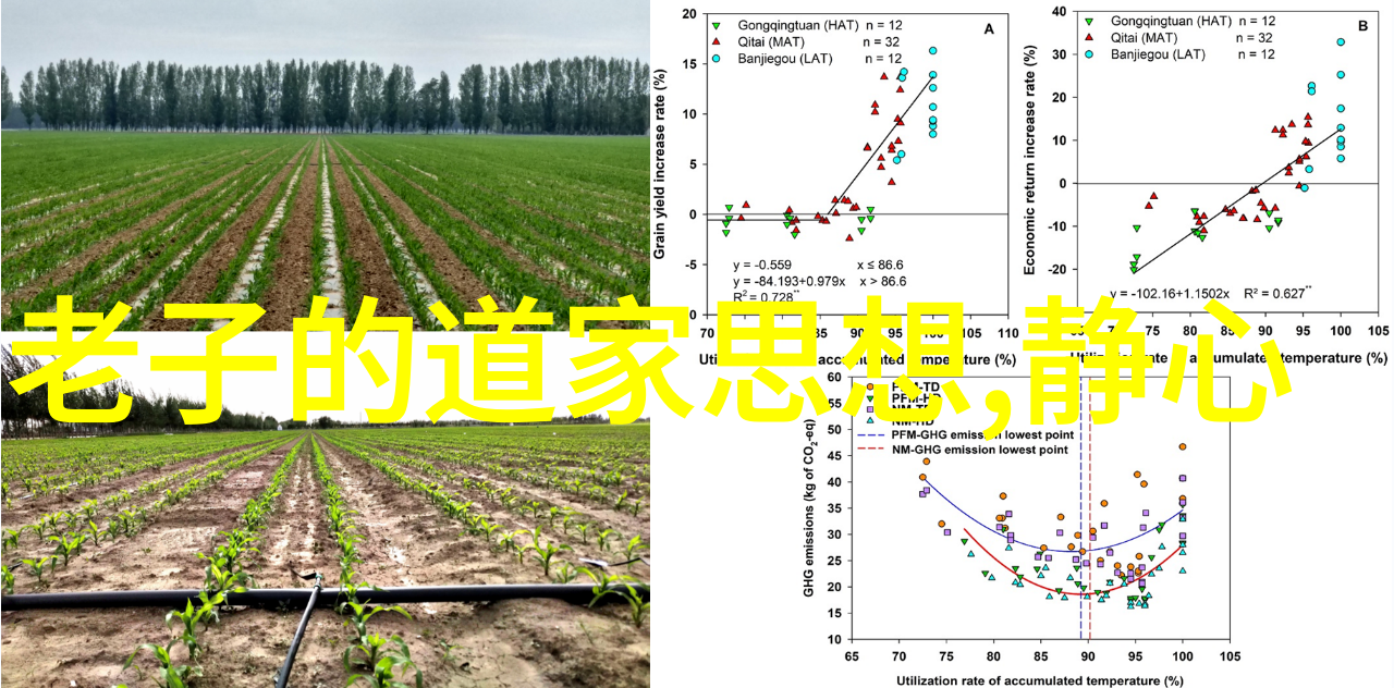 海南黎族船型屋探秘56个民族节日风俗的多样性