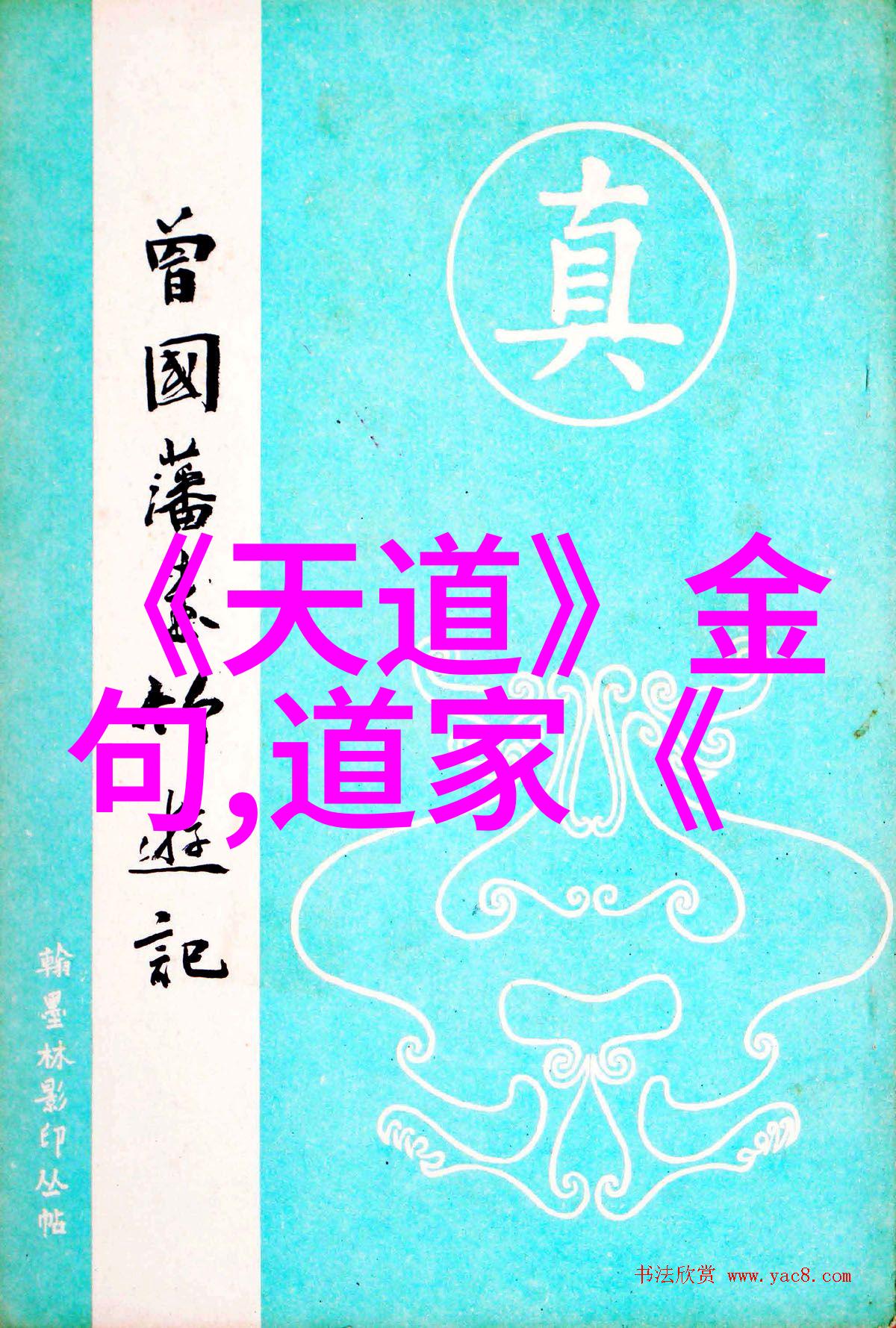 修身齐家治国平天道士之路的哲学与实践