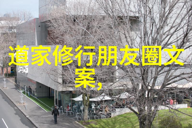 道家八段锦教学视频完整版揭秘古老武学的修炼之道