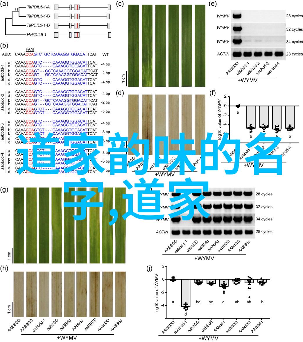 创思启智才能点亮梦想成功学者背后的故事