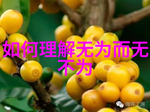 常无为而无不为的智慧深入解析一种生活哲学