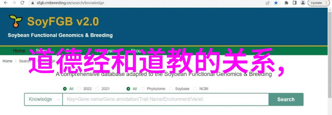 张三丰是道教创始人吗探讨中国传统宗教与学术演变的新旧论题