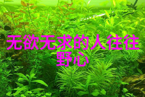 道德经的感悟分享在自然之美中寻找人生智慧来自即墨马山聚仙宫2000字体验