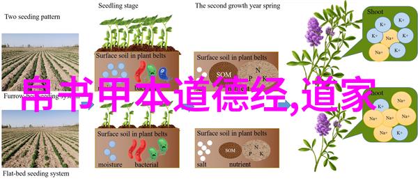 如何衡量一个人的慈悲之心是否达到顶峰