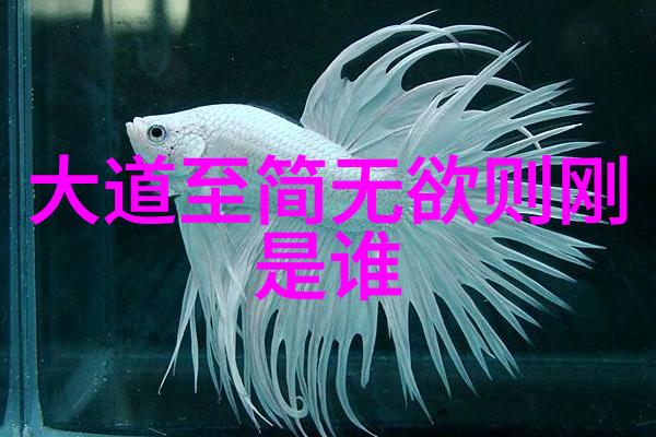 道教三大祖师仙界的笑话背后