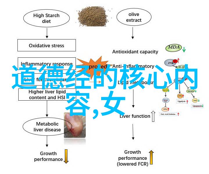 道家学派的智者探索其代表人物的哲学与生活方式