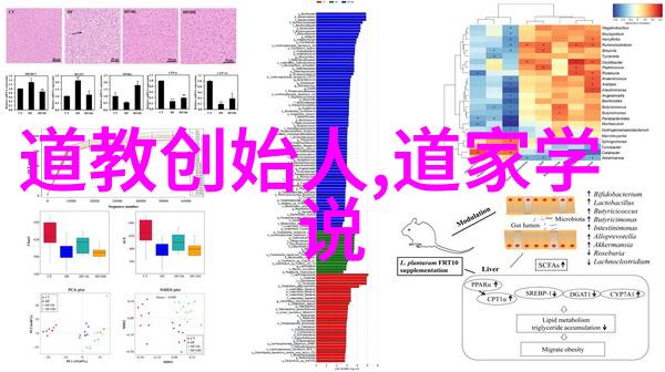 老子的道德经二年级我是怎么让我的二年级小朋友学会老子哲学的