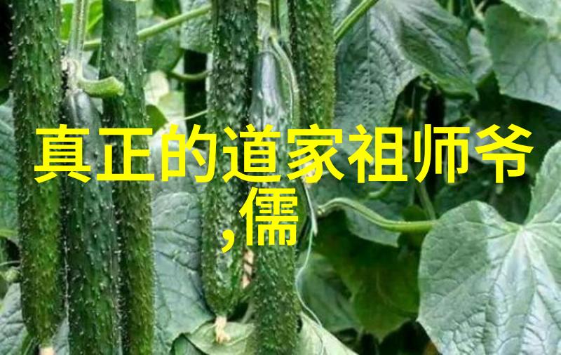 探索古籍我和道德经的故事全文与译文的奇妙对话