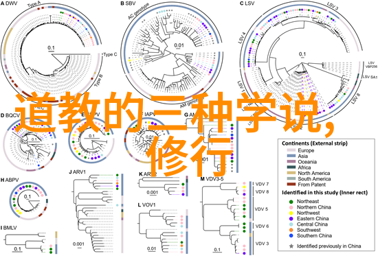 思想道德与法律共鸣深处的普遍性探索道德法则的共同根基