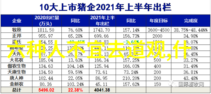 道家代表人物是谁智慧的先驱们