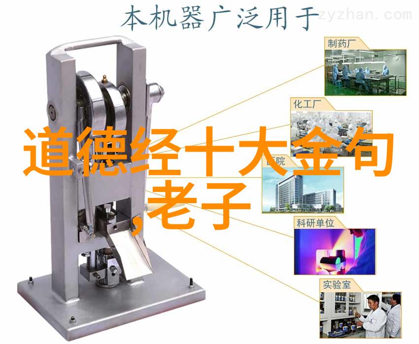 你是不是我的小SB总结探索隐秘情感的纠葛与解答