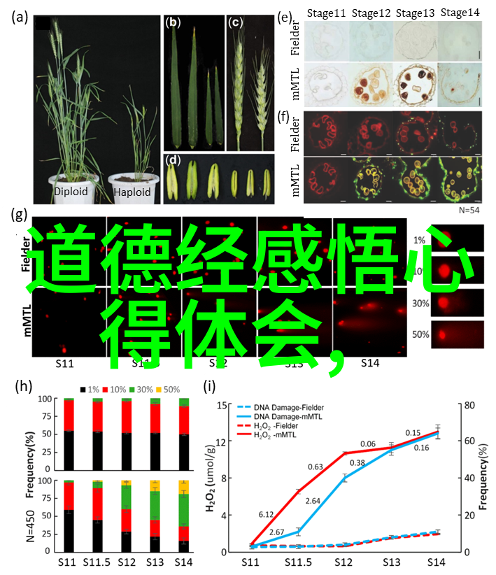 书写无为古代文学作品中的无作之作探究