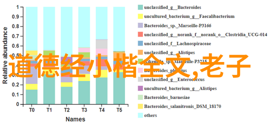 道德经智慧探索从无为而治到顺应自然