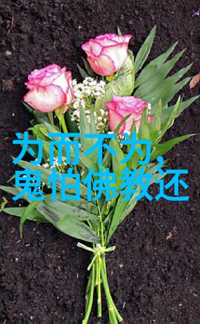 四川洛带古镇在天贶节期间举办的民俗盛宴届时该镇将变成一片热闹非凡喜气洋洋的地方