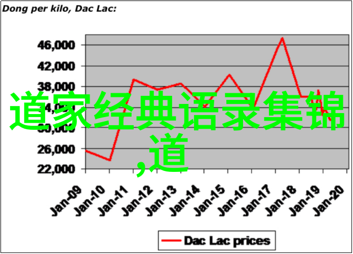 修行者的心路历程揭示不为人知的一面